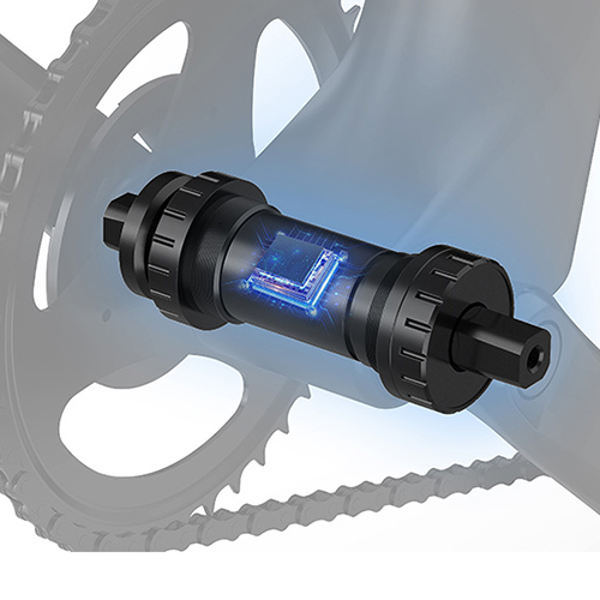 WOWCAT Folding E-Bike for Commuting and Leisurely Rides