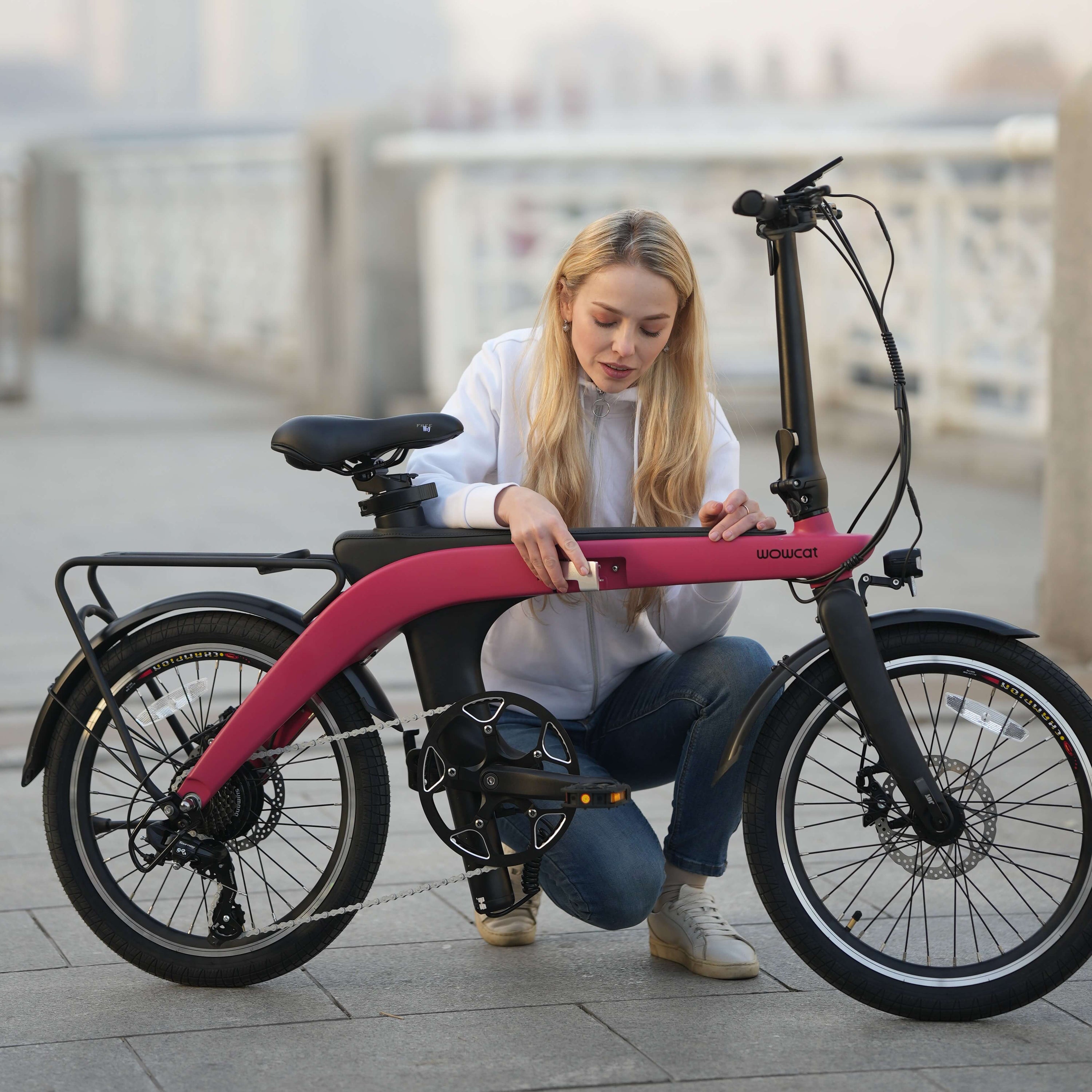 How to Choose The Best Ebike Wowcat
